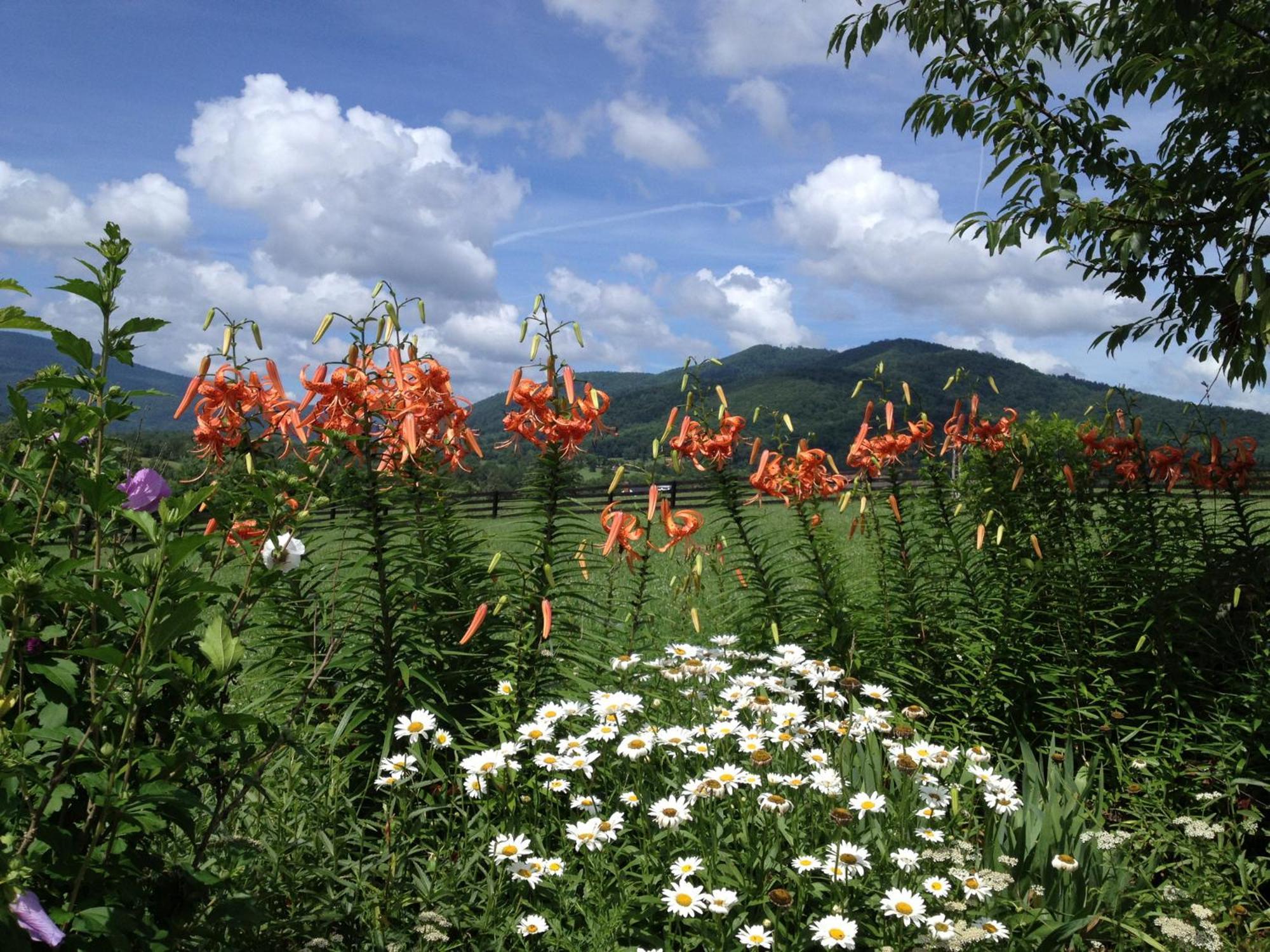 Montfair Resort Farm Crozet エクステリア 写真
