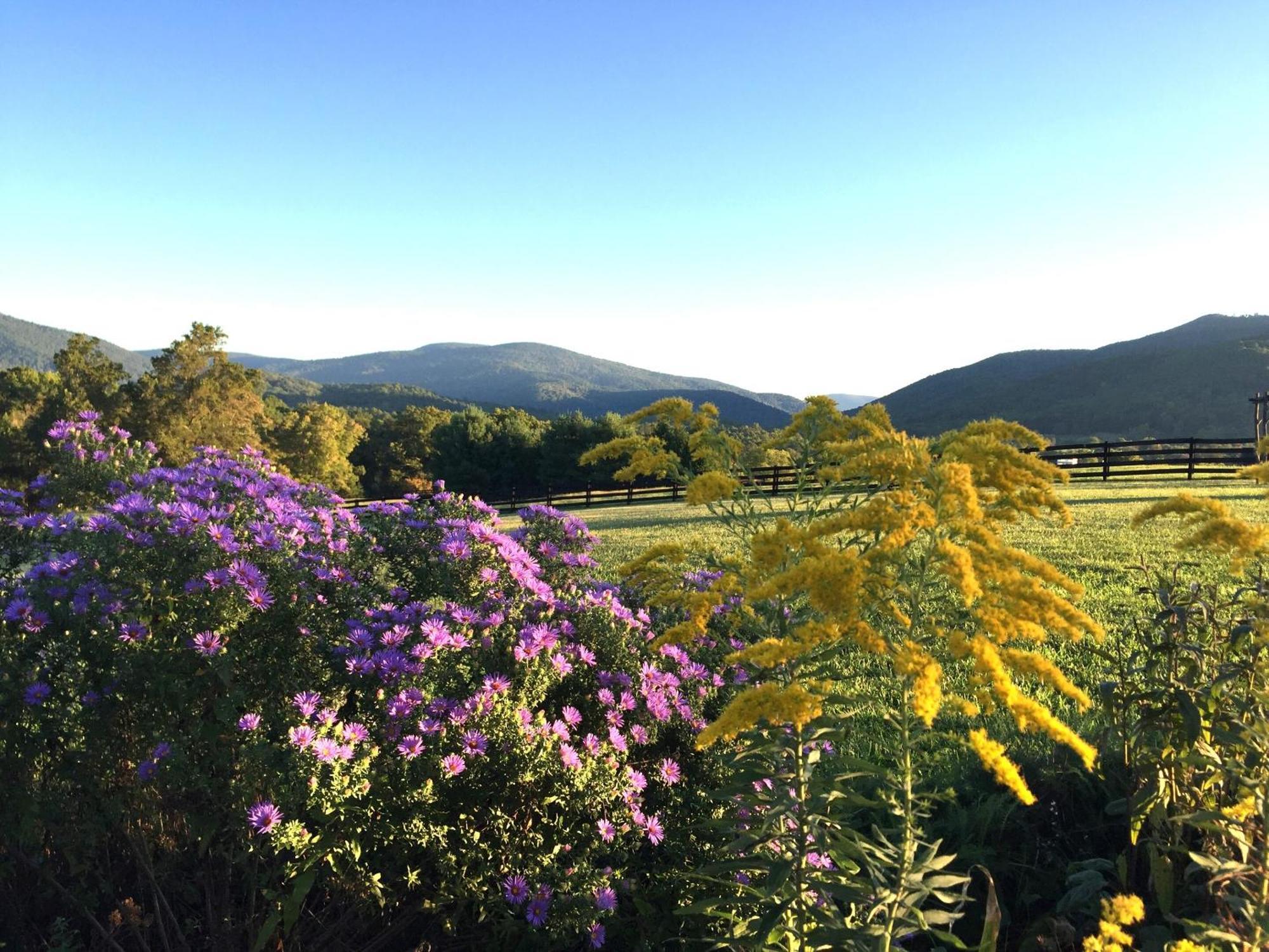 Montfair Resort Farm Crozet 部屋 写真