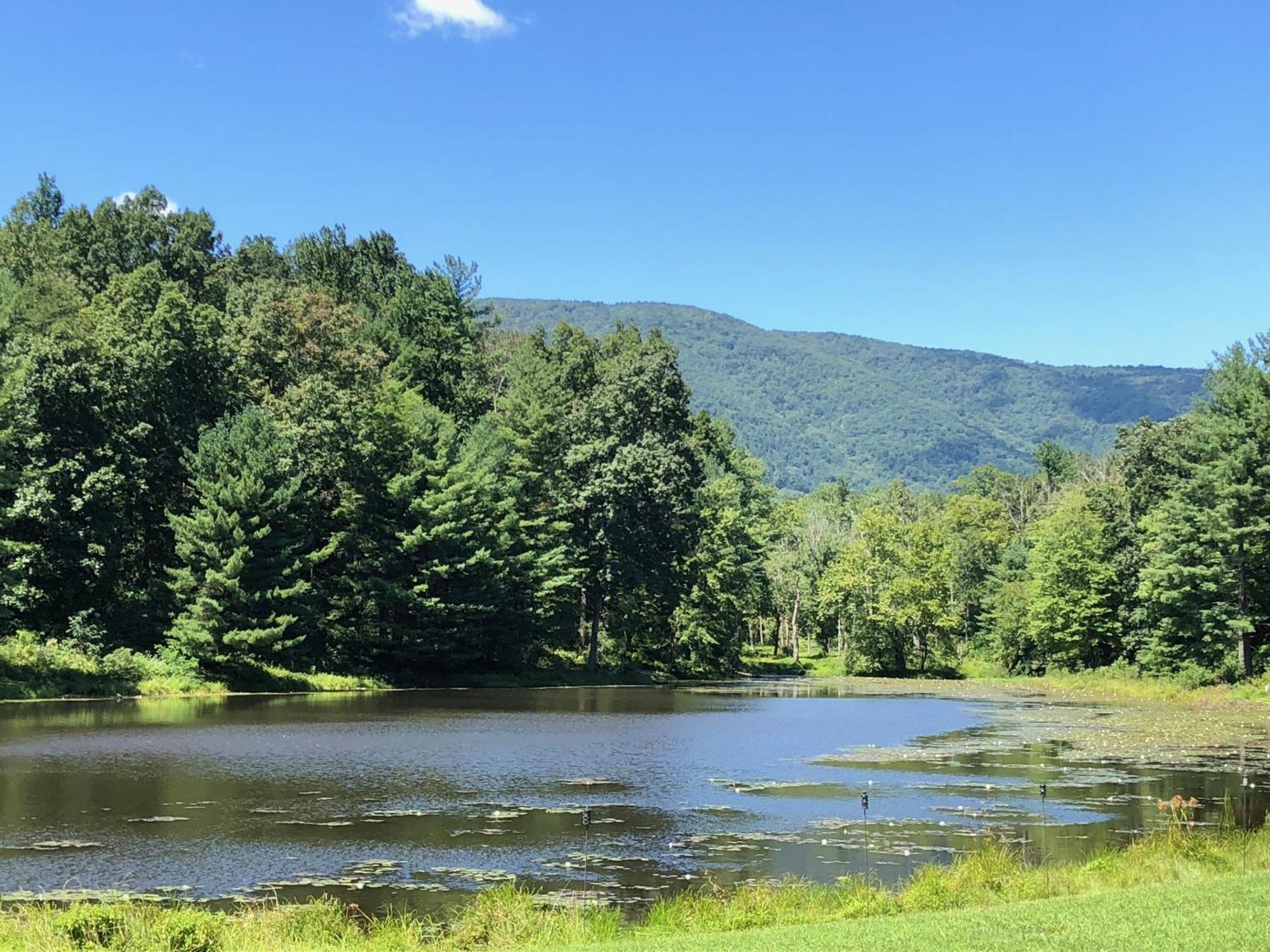 Montfair Resort Farm Crozet 部屋 写真