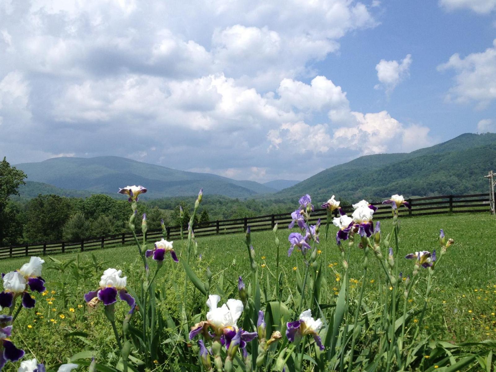 Montfair Resort Farm Crozet 部屋 写真