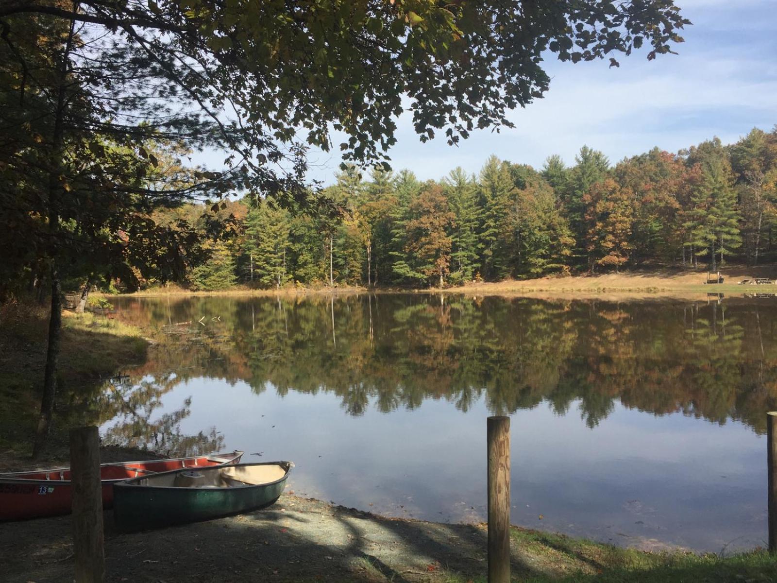 Montfair Resort Farm Crozet 部屋 写真