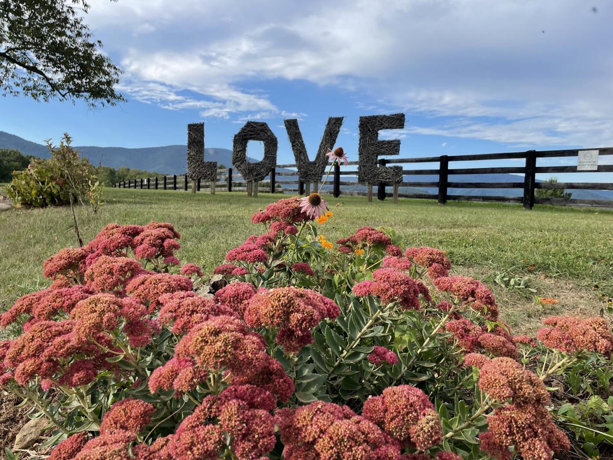 Montfair Resort Farm Crozet 部屋 写真