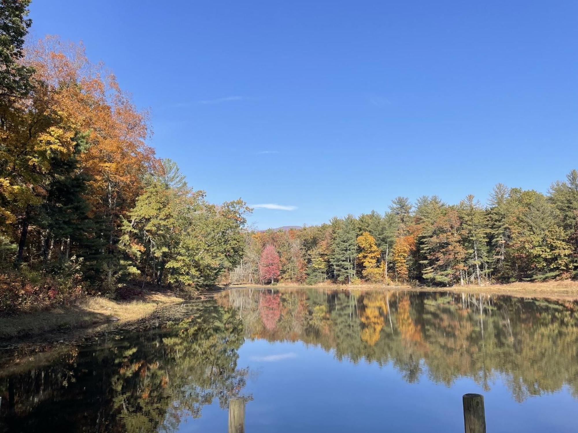 Montfair Resort Farm Crozet エクステリア 写真